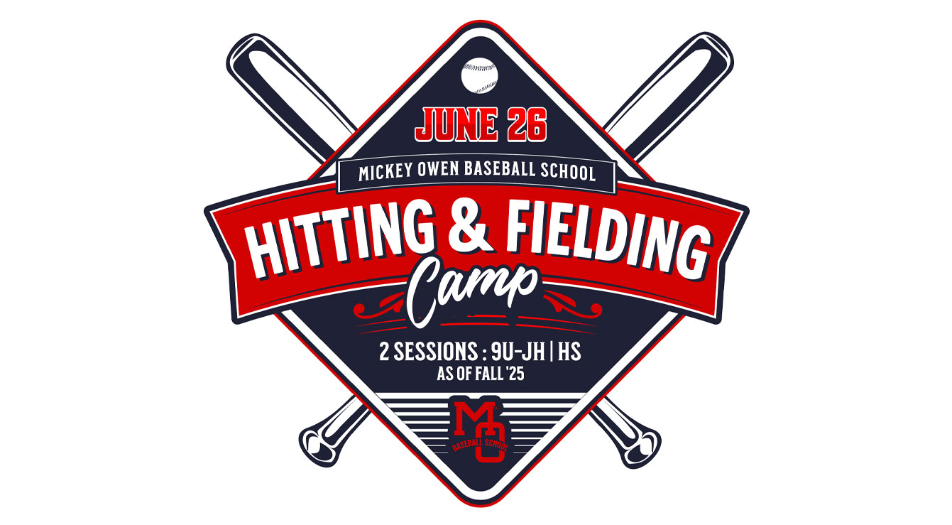 Hitting and Fielding Camp 2025